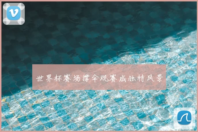世界杯赛场撑伞观赛成独特风景