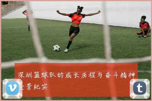 深圳篮球队的成长历程与奋斗精神全景纪实