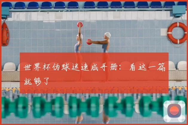 世界杯伪球迷速成手册:看这一篇就够了