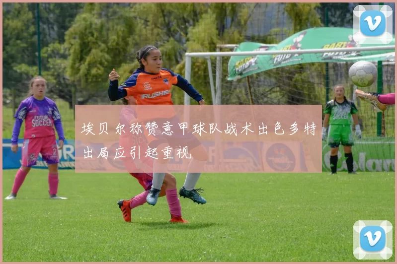 埃贝尔称赞意甲球队战术出色多特出局应引起重视