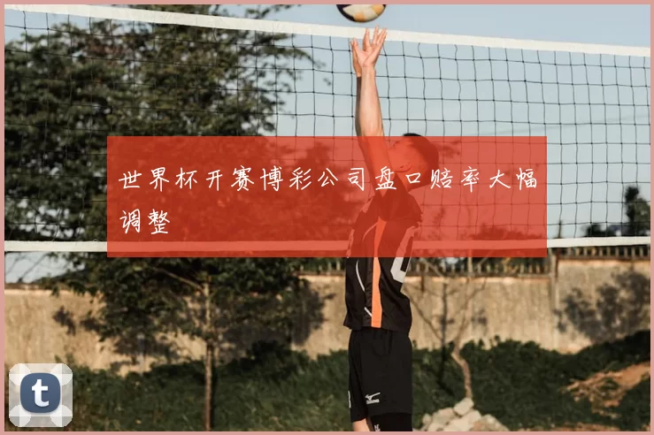 世界杯开赛博彩公司盘口赔率大幅调整