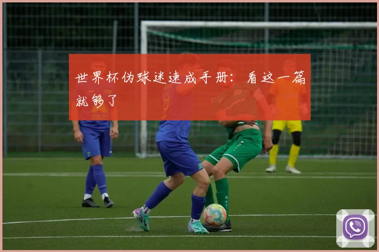 世界杯伪球迷速成手册:看这一篇就够了
