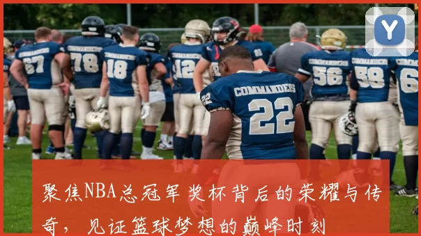 聚焦NBA总冠军奖杯背后的荣耀与传奇，见证篮球梦想的巅峰时刻
