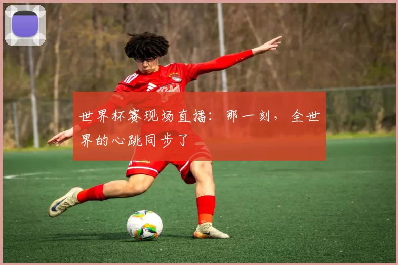 世界杯赛现场直播：那一刻，全世界的心跳同步了