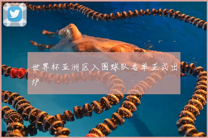 世界杯亚洲区入围球队名单正式出炉