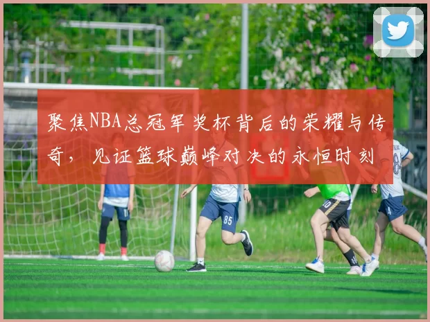 聚焦NBA总冠军奖杯背后的荣耀与传奇，见证篮球巅峰对决的永恒时刻