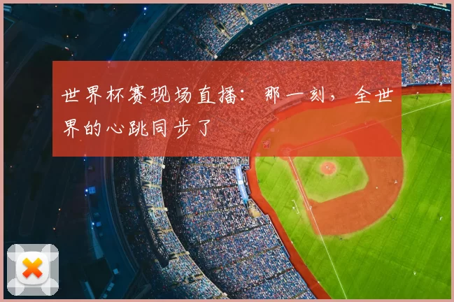 世界杯赛现场直播：那一刻，全世界的心跳同步了