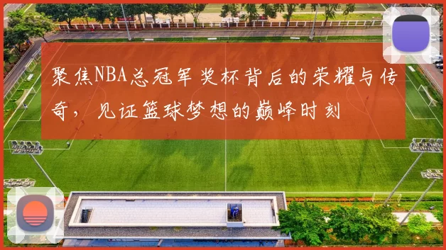 聚焦NBA总冠军奖杯背后的荣耀与传奇，见证篮球梦想的巅峰时刻