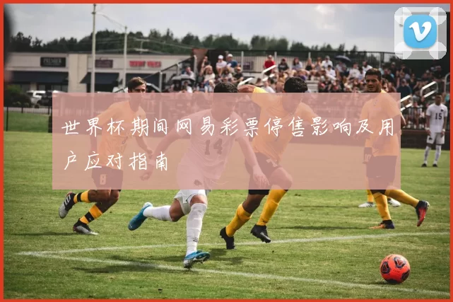 世界杯期间网易彩票停售影响及用户应对指南