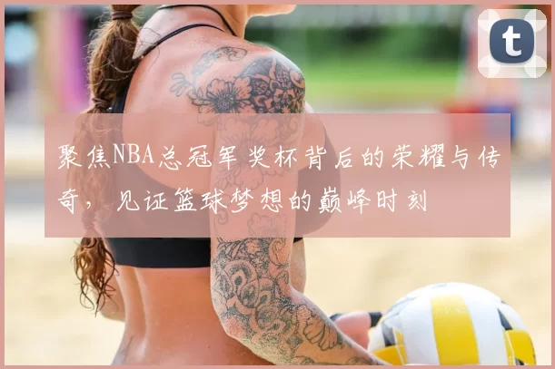 聚焦NBA总冠军奖杯背后的荣耀与传奇，见证篮球梦想的巅峰时刻